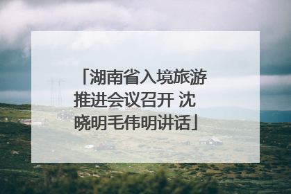 湖南省入境旅游推进会议召开 沈晓明毛伟明讲话