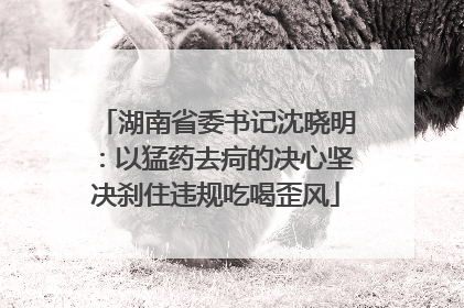 湖南省委书记沈晓明：以猛药去疴的决心坚决刹住违规吃喝歪风