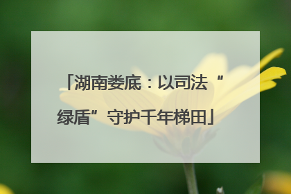 湖南娄底：以司法“绿盾”守护千年梯田