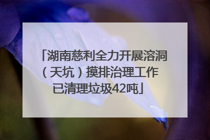 湖南慈利全力开展溶洞（天坑）摸排治理工作 已清理垃圾42吨