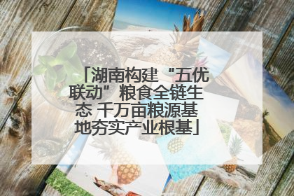 湖南构建“五优联动”粮食全链生态 千万亩粮源基地夯实产业根基