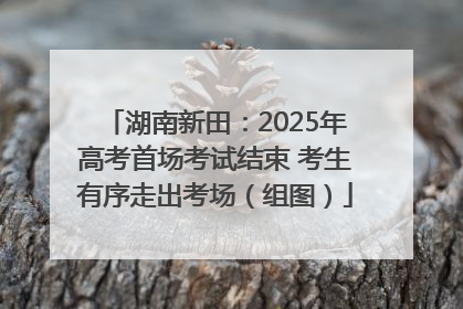 湖南新田：2025年高考首场考试结束 考生有序走出考场（组图）