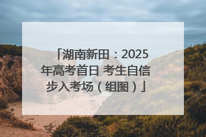 湖南新田：2025年高考首日 考生自信步入考场（组图）