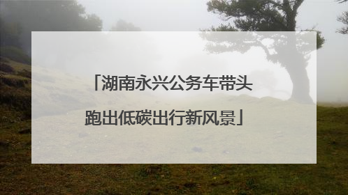 湖南永兴公务车带头跑出低碳出行新风景