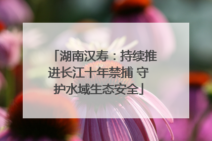 湖南汉寿：持续推进长江十年禁捕 守护水域生态安全