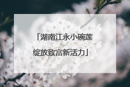 湖南江永小碗莲绽放致富新活力