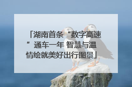 湖南首条“数字高速”通车一年 智慧与温情绘就美好出行图景