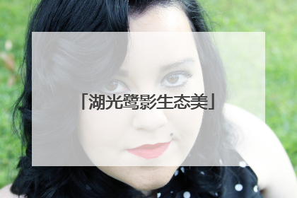 湖光鹭影生态美