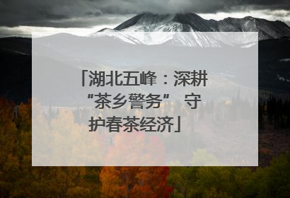 湖北五峰：深耕“茶乡警务” 守护春茶经济