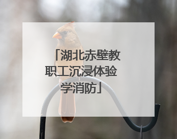 湖北赤壁教职工沉浸体验学消防