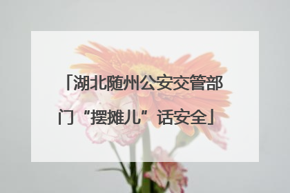 湖北随州公安交管部门“摆摊儿”话安全