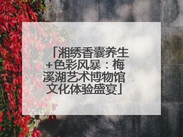 湘绣香囊养生+色彩风暴：梅溪湖艺术博物馆文化体验盛宴