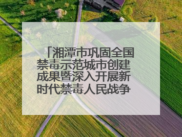 湘潭市巩固全国禁毒示范城市创建成果暨深入开展新时代禁毒人民战争新闻发布会答记者问摘录