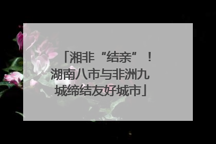 湘非“结亲”！湖南八市与非洲九城缔结友好城市