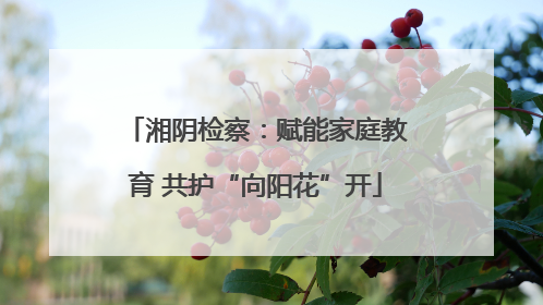 湘阴检察：赋能家庭教育 共护“向阳花”开