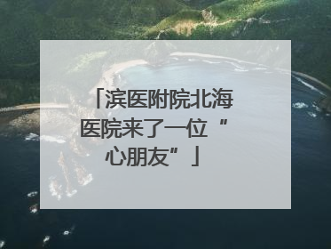 滨医附院北海医院来了一位“心朋友”