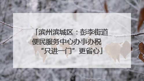 滨州滨城区：彭李街道便民服务中心办事办税 “只进一门”更省心