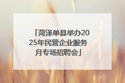 菏泽单县举办2025年民营企业服务月专场招聘会
