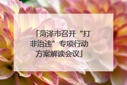 菏泽市召开“打非治违”专项行动方案解读会议