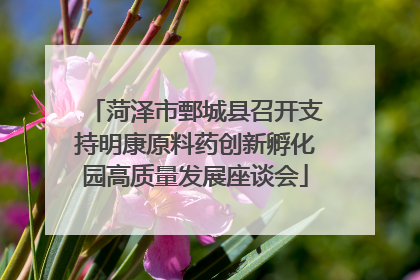 菏泽市鄄城县召开支持明康原料药创新孵化园高质量发展座谈会