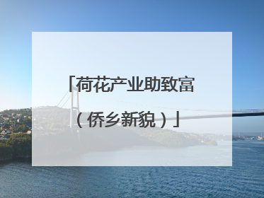 荷花产业助致富（侨乡新貌）