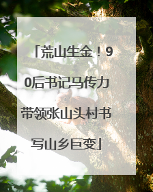 荒山生金！90后书记马传力带领张山头村书写山乡巨变