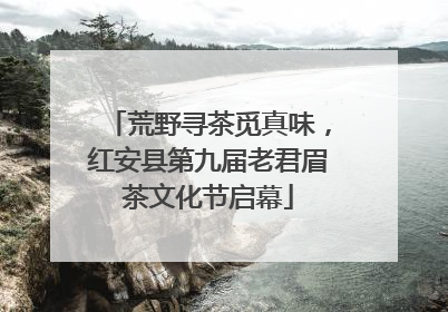 荒野寻茶觅真味，红安县第九届老君眉茶文化节启幕