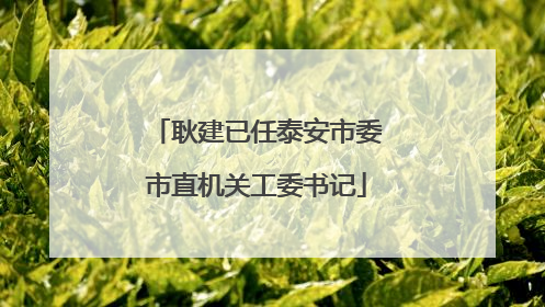 耿建已任泰安市委市直机关工委书记