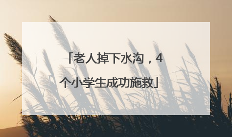 老人掉下水沟，4个小学生成功施救