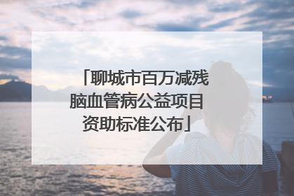 聊城市百万减残脑血管病公益项目资助标准公布