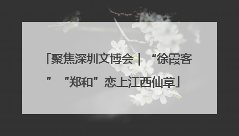 聚焦深圳文博会｜“徐霞客”“郑和”恋上江西仙草