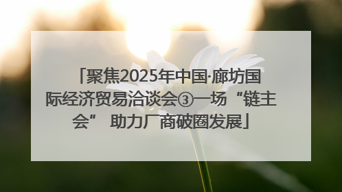 聚焦2025年中国·廊坊国际经济贸易洽谈会③一场“链主会” 助力厂商破圈发展