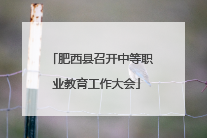 肥西县召开中等职业教育工作大会