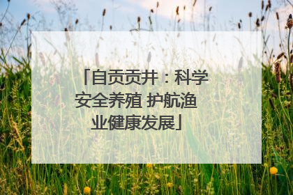 自贡贡井：科学安全养殖 护航渔业健康发展