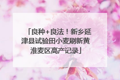 良种+良法！新乡延津县试验田小麦刷新黄淮麦区高产记录