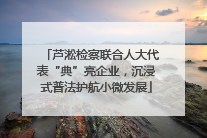 芦淞检察联合人大代表“典”亮企业，沉浸式普法护航小微发展