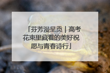 芬芳漫呈贡｜高考花束里藏着的美好祝愿与青春诗行