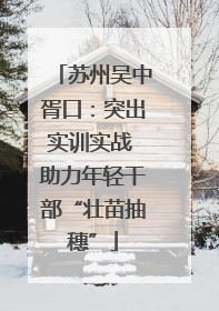 苏州吴中胥口：突出实训实战 助力年轻干部“壮苗抽穗”