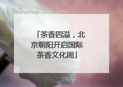 茶香四溢，北京朝阳开启国际茶香文化周