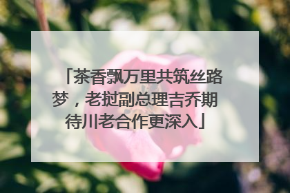 茶香飘万里共筑丝路梦，老挝副总理吉乔期待川老合作更深入