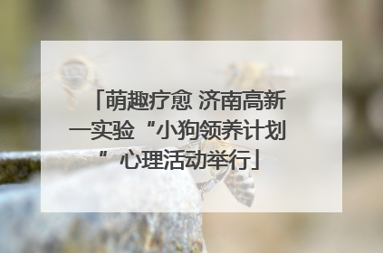 萌趣疗愈 济南高新一实验“小狗领养计划”心理活动举行