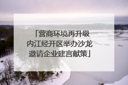 营商环境再升级 内江经开区举办沙龙邀请企业建言献策