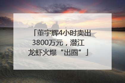董宇辉4小时卖出3800万元，潜江龙虾火爆“出圈”