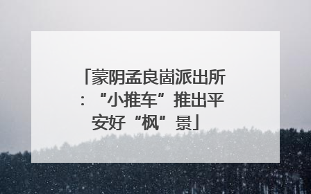 蒙阴孟良崮派出所：“小推车”推出平安好“枫”景