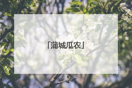 蒲城瓜农
