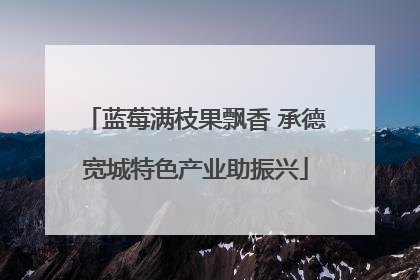 蓝莓满枝果飘香 承德宽城特色产业助振兴