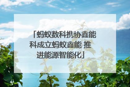 蚂蚁数科携协鑫能科成立蚂蚁鑫能 推进能源智能化