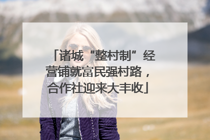 诸城“整村制”经营铺就富民强村路，合作社迎来大丰收