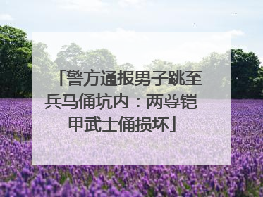 警方通报男子跳至兵马俑坑内：两尊铠甲武士俑损坏