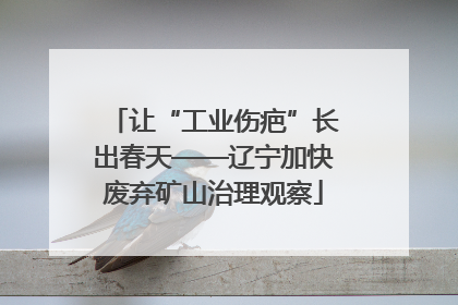 让“工业伤疤”长出春天——辽宁加快废弃矿山治理观察